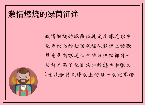 激情燃烧的绿茵征途