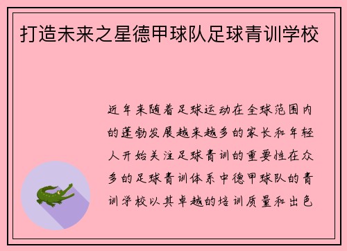 打造未来之星德甲球队足球青训学校