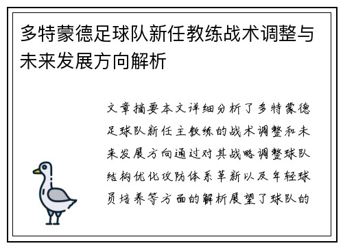 多特蒙德足球队新任教练战术调整与未来发展方向解析