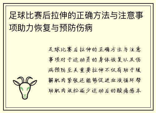 足球比赛后拉伸的正确方法与注意事项助力恢复与预防伤病