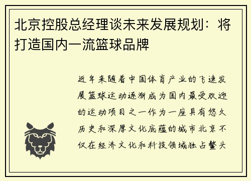 北京控股总经理谈未来发展规划：将打造国内一流篮球品牌