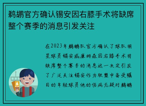 鹈鹕官方确认锡安因右膝手术将缺席整个赛季的消息引发关注